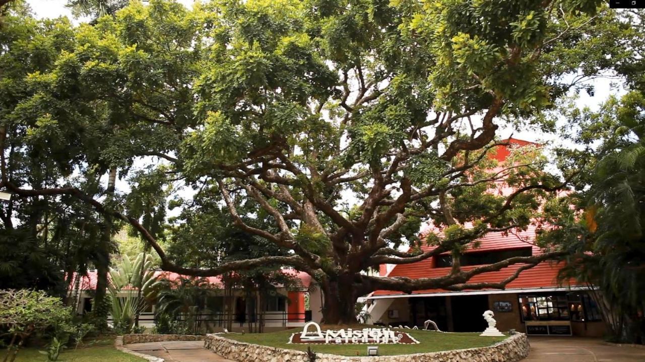 มิซิออน ปาเลงเก Hotel ภายนอก รูปภาพ